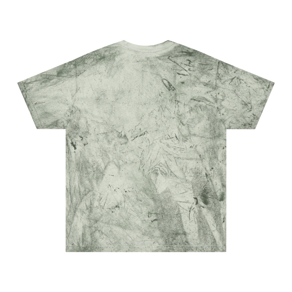 Color Blast "Sometimes you just gotta kick a bitch in the cooter" Tee