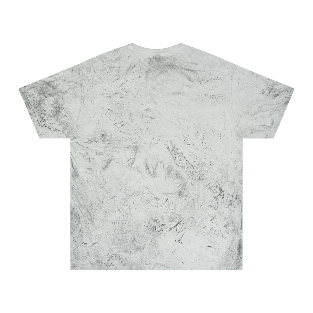 Color Blast "Sometimes you just gotta kick a bitch in the cooter" Tee