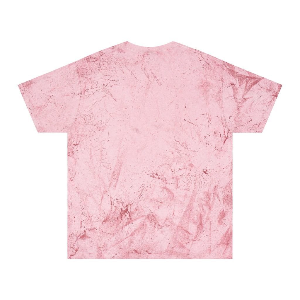 Color Blast "Sometimes you just gotta kick a bitch in the cooter" Tee
